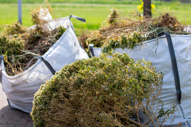 Best Demolition Debris Removal  in Hillandale, MD
